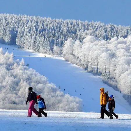 Alm Ehemals Birkenhof 4* Виллинген