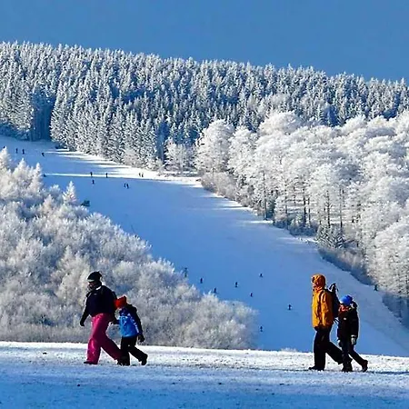 Апарт-отель Alm Ehemals Birkenhof 4*