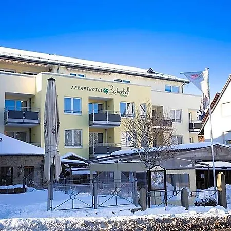 Alm Ehemals Birkenhof 4* Виллинген
