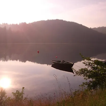 Apartahotel Alm Ehemals Birkenhof Willingen (Upland)